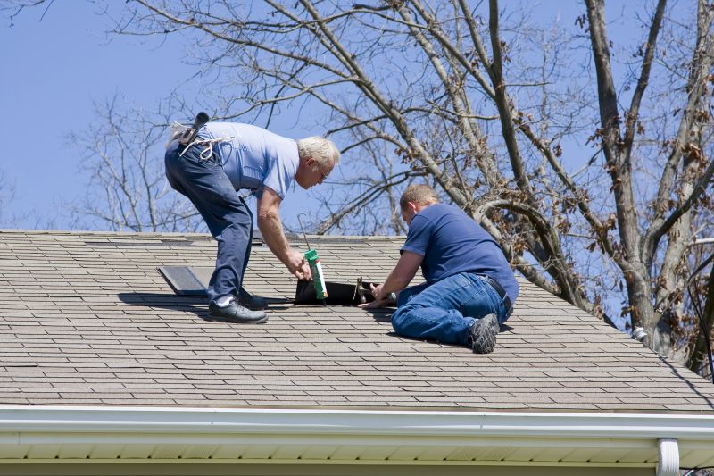 Roof Repair Consultation